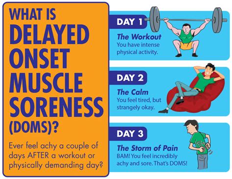 what does doms stand for.